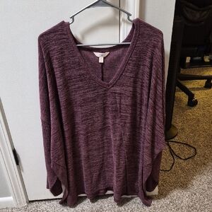 Terra & Sky Purple V-Neck Blouse